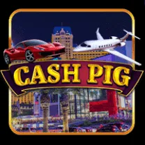 Cash Pig