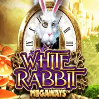 White Rabbit