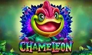 Chameleon