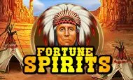 Fortune Spirits