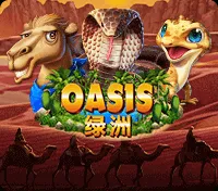 Oasis