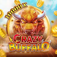 Crazy buffalo