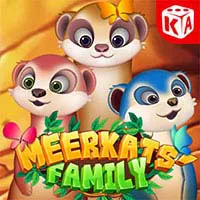 Meerkats' Family