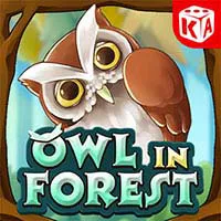 Owl In Forest