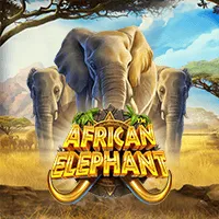 African Elephant™