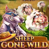 Sheep Gone Wild